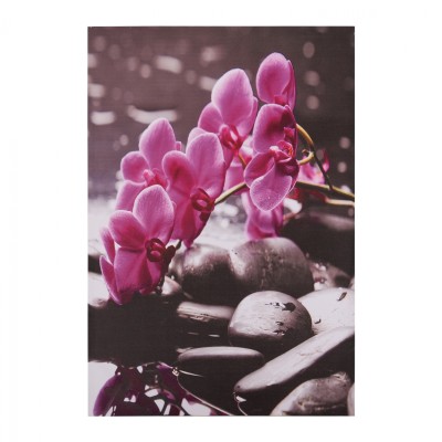 ΠΙΝΑΚΑΣ ΚΑΜΒΑΣ PINK ORCHID...