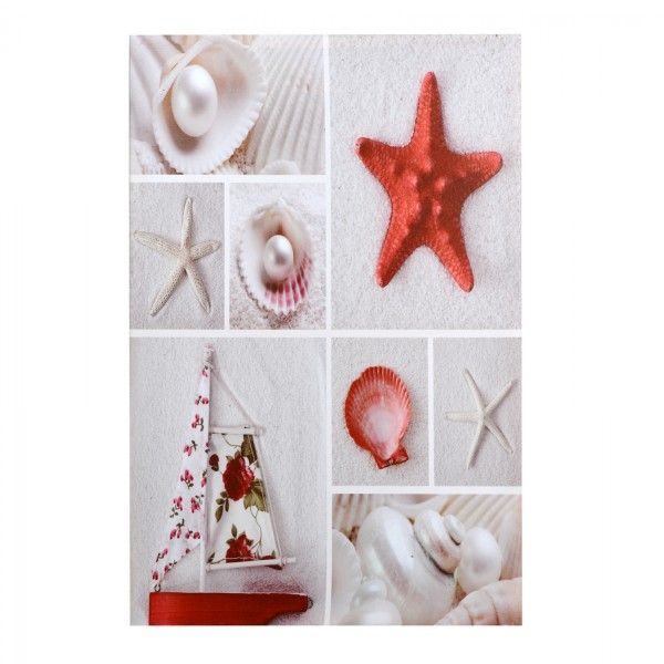 ΠΙΝΑΚΑΣ ΚΑΜΒΑΣ HM7088 RED STARFISH 40X60