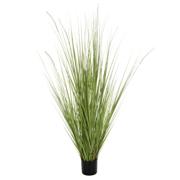 ΔΙΑΚΟΣΜΗΤΙΚΟ ΣΥΝΘΕΤΙΚΟ ΦΥΤΟ HM4017 BRISTLEGRASS ΣΕ ΓΛΑΣΤΡΑ 173Υεκ.