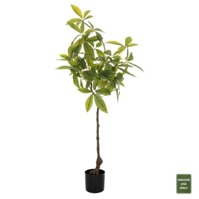 ΔΙΑΚΟΣΜΗΤΙΚΟ ΣΥΝΘΕΤΙΚΟ ΦΥΤΟ...